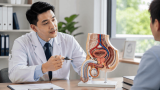 Cương dương là gì? Cơ chế, yếu tố ảnh hưởng và những điều cần biết